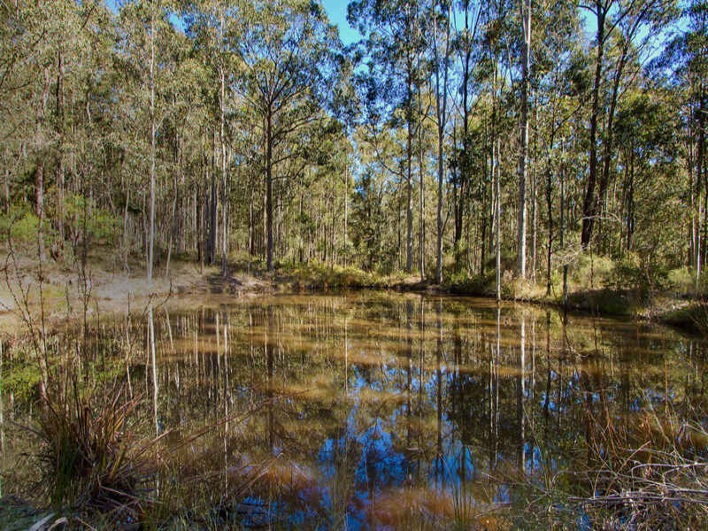 64 Tobins Road, Mandalong NSW 2264