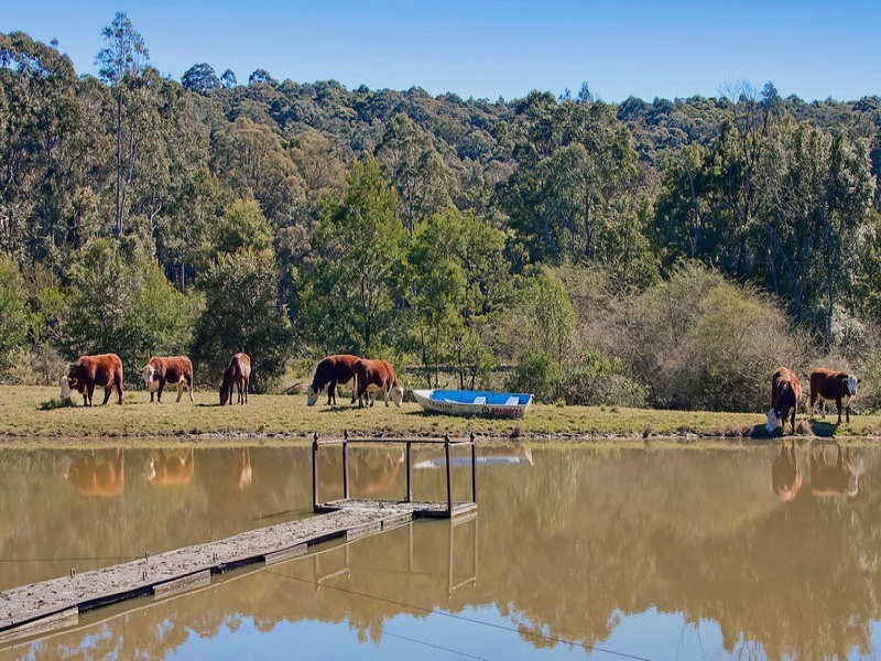 64 Tobins Road, Mandalong NSW 2264