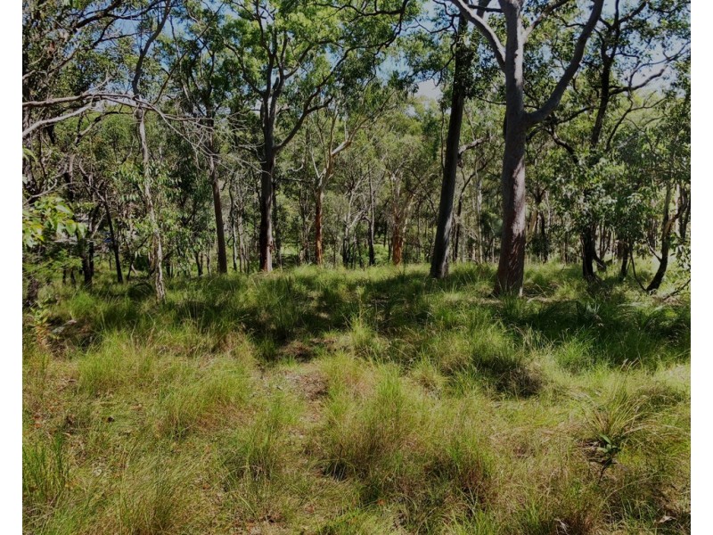 1 Fishery Point Road, Mirrabooka NSW 2264