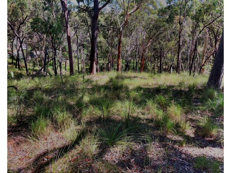 1 Fishery Point Road, Mirrabooka NSW 2264