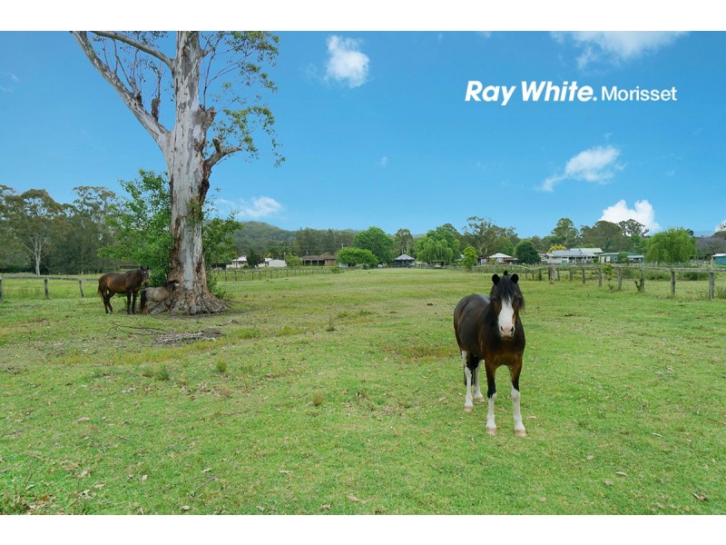 458 Freemans Drive, Cooranbong NSW 2265