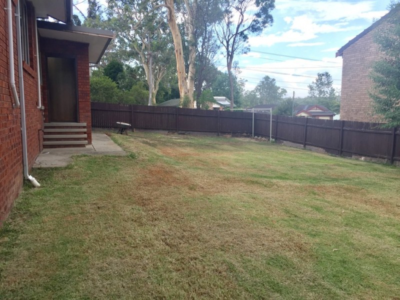 10 Helena Street, Balcolyn NSW 2264