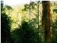 48 Pringles Road, Martinsville NSW 2265