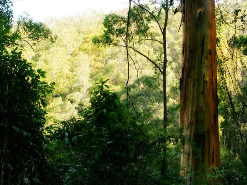 48 Pringles Road, Martinsville NSW 2265