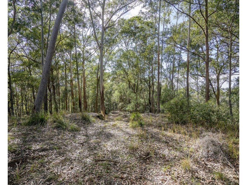 439 Sauls Road, Mandalong NSW 2264