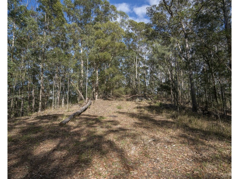 439 Sauls Road, Mandalong NSW 2264