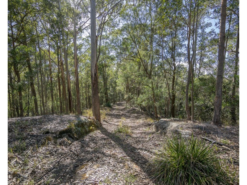 439 Sauls Road, Mandalong NSW 2264