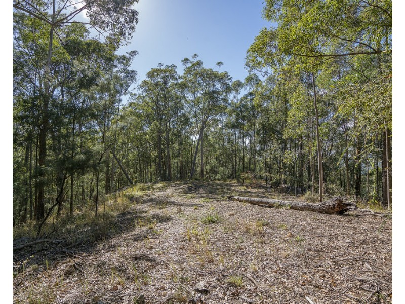 439 Sauls Road, Mandalong NSW 2264