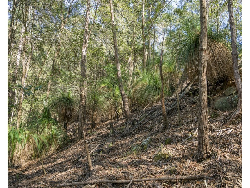 439 Sauls Road, Mandalong NSW 2264