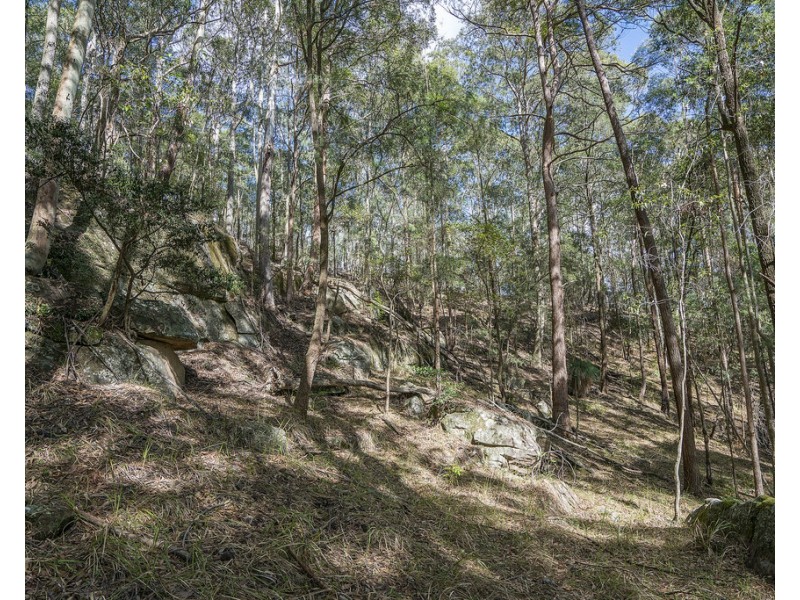 439 Sauls Road, Mandalong NSW 2264