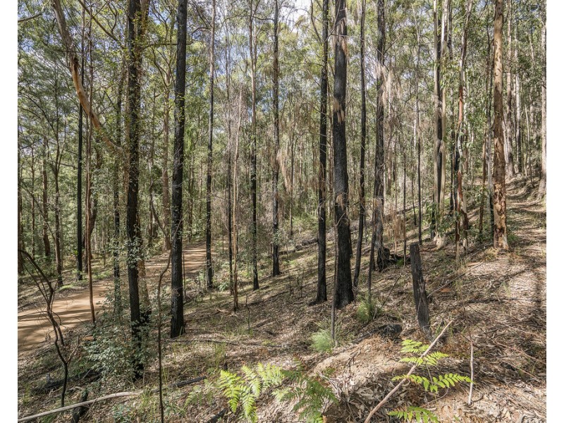 439 Sauls Road, Mandalong NSW 2264