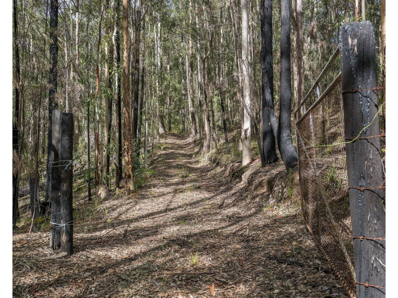 439 Sauls Road, Mandalong NSW 2264