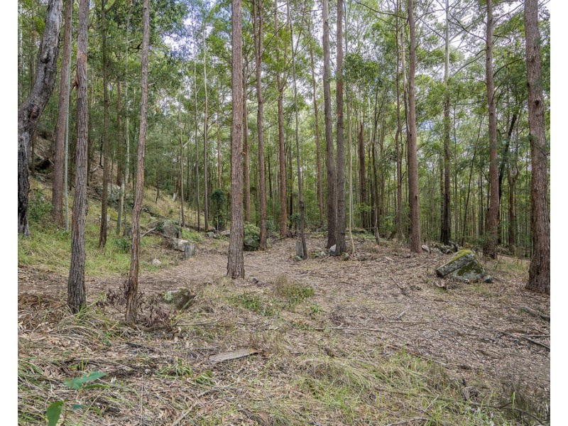 439 Sauls Road, Mandalong NSW 2264