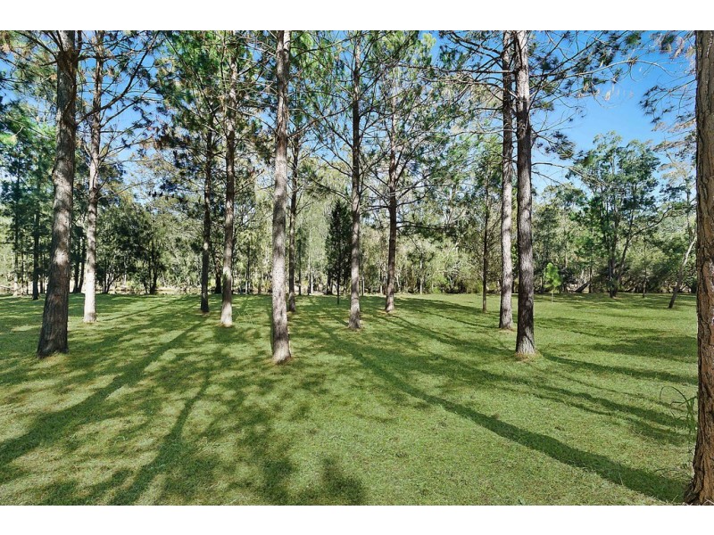 205 Freemans Drive, Morisset NSW 2264