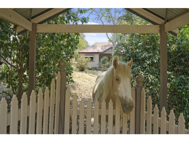 58 Awaba Street, Morisset NSW 2264