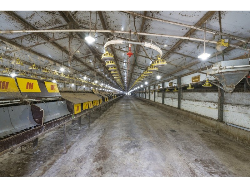 210 Mount Faulk Road, Cooranbong NSW 2265