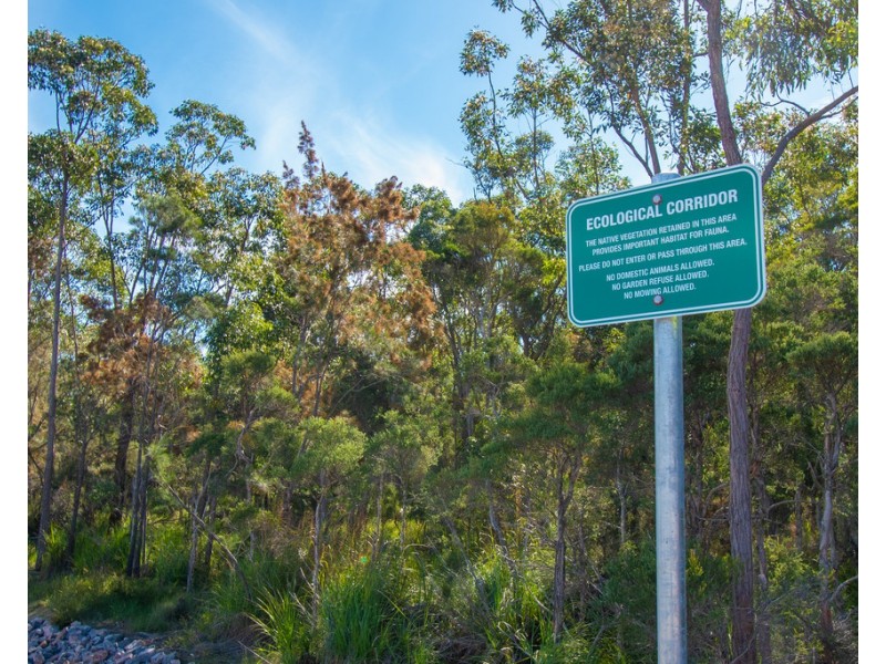 47 Lots Scarborough Street, Morisset NSW 2264