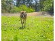 47 Lots Scarborough Street, Morisset NSW 2264