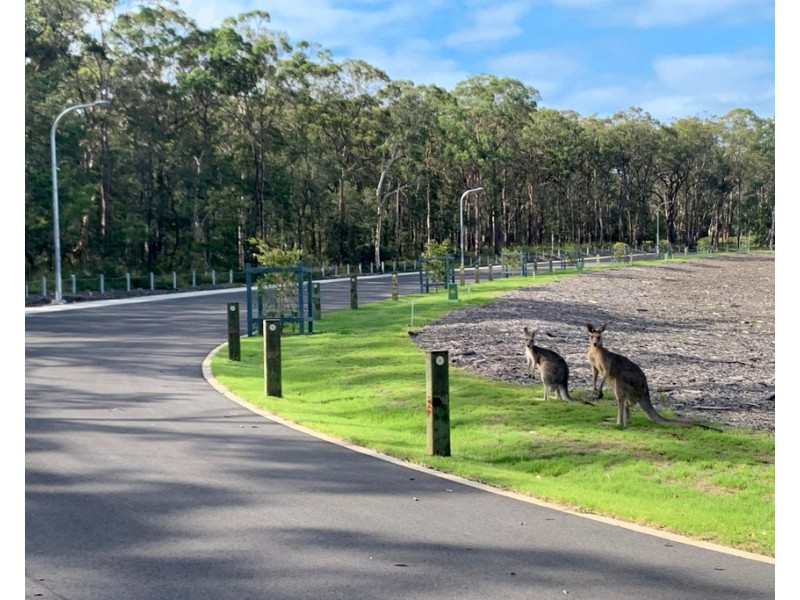 47 Lots Scarborough Street, Morisset NSW 2264