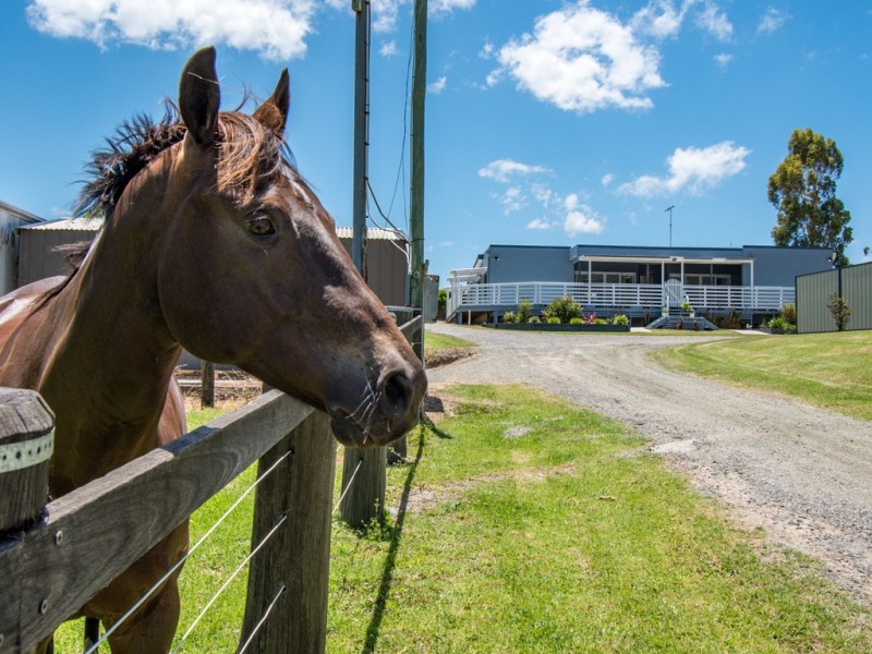7 Lillypilly Lane, Cooranbong NSW 2265