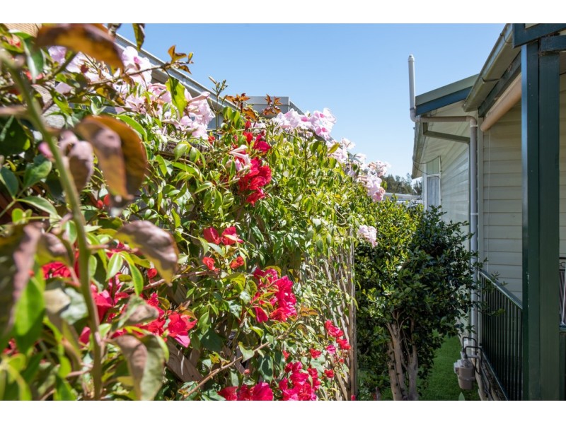 106 / 4 Gimberts Road, Morisset NSW 2264