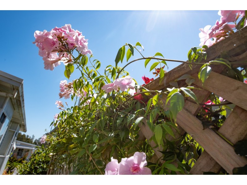 106 / 4 Gimberts Road, Morisset NSW 2264