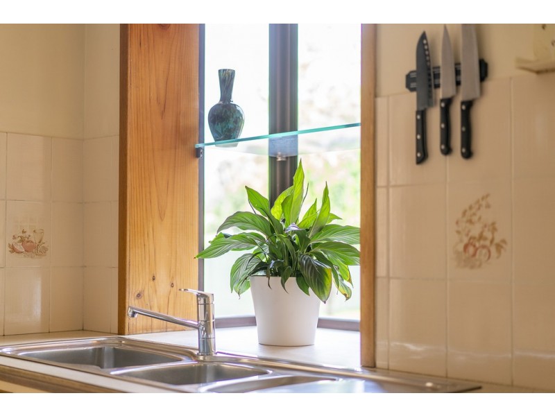 19 Crawford Road, Cooranbong NSW 2265