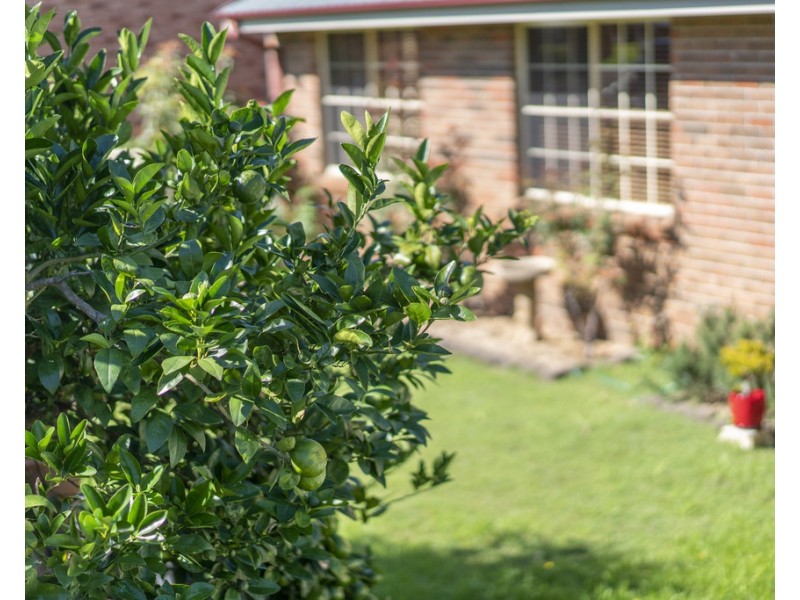 9 Jacaranda Close, Cooranbong NSW 2265