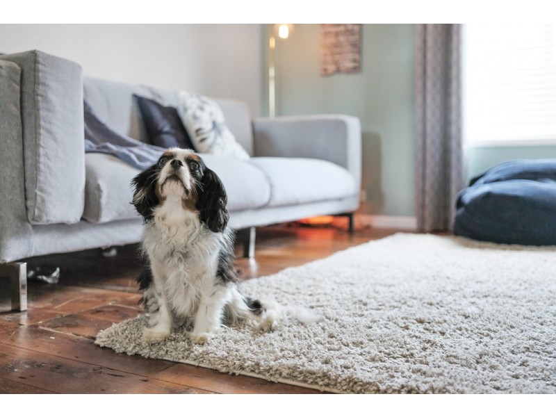 35a Avondale Road, Cooranbong NSW 2265