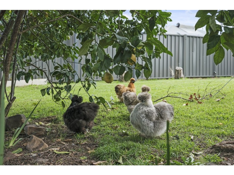 35a Avondale Road, Cooranbong NSW 2265