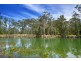 160 Stingaree Pt Drive, Dora Creek NSW 2264