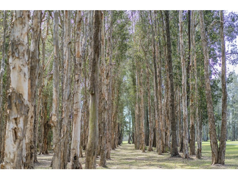 160 Stingaree Pt Drive, Dora Creek NSW 2264