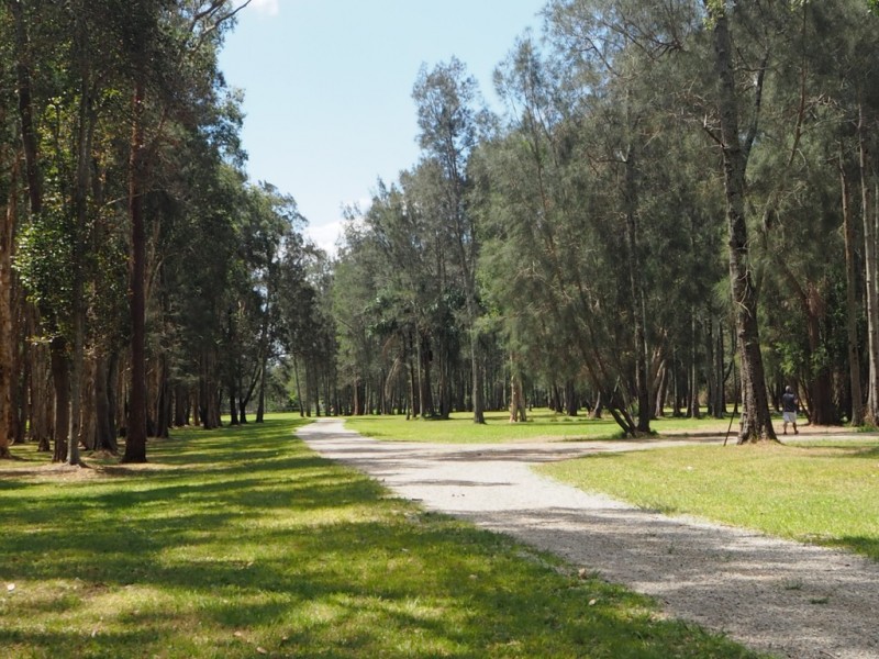 160 Stingaree Pt Drive, Dora Creek NSW 2264