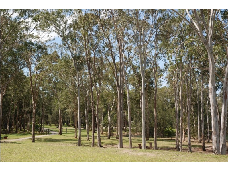 160 Stingaree Pt Drive, Dora Creek NSW 2264