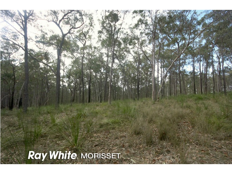 15 Stockdale Street, Morisset NSW 2264