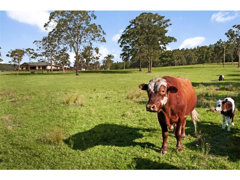 29 Timber Road, Mandalong NSW 2264
