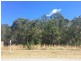 552 Bushells Ridge Road, Wyee NSW 2259