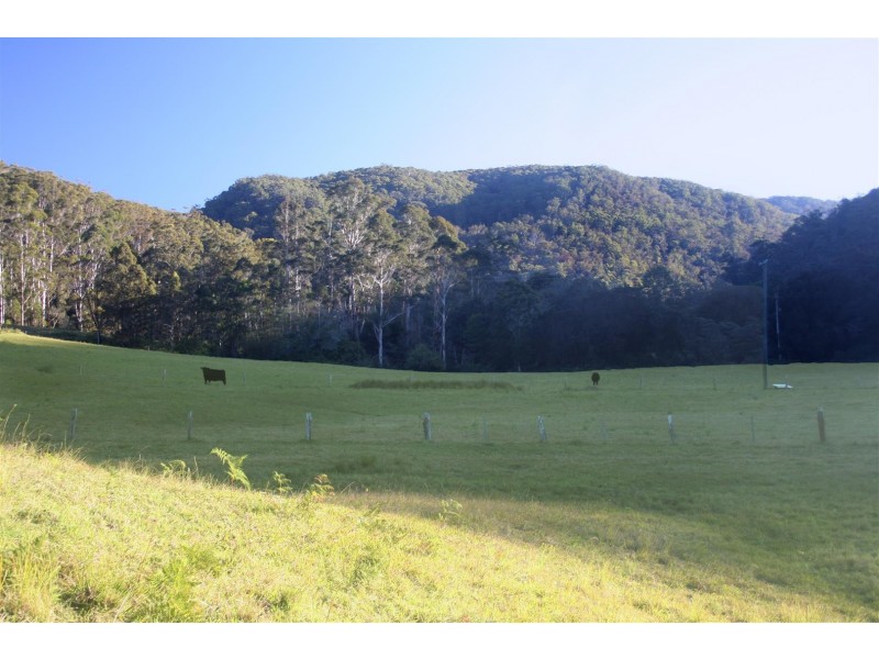 242 Wilkinson Road, Martinsville NSW 2265