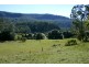 242 Wilkinson Road, Martinsville NSW 2265