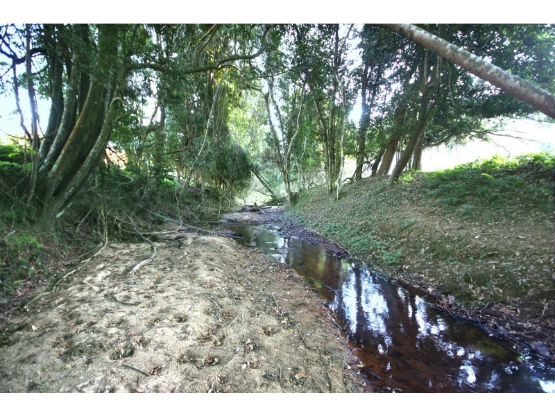 242 Wilkinson Road, Martinsville NSW 2265