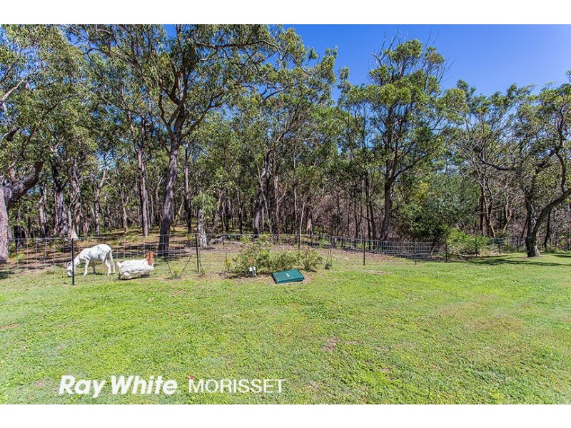 31 Fishery Point Road, Mirrabooka NSW 2264