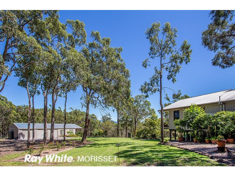 31 Fishery Point Road, Mirrabooka NSW 2264