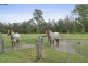 214 Freemans Drive, Morisset NSW 2264