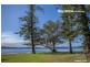 13 King Street, Balcolyn NSW 2264