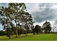 326 Bushells Ridge Road, Wyee NSW 2259
