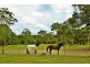 326 Bushells Ridge Road, Wyee NSW 2259