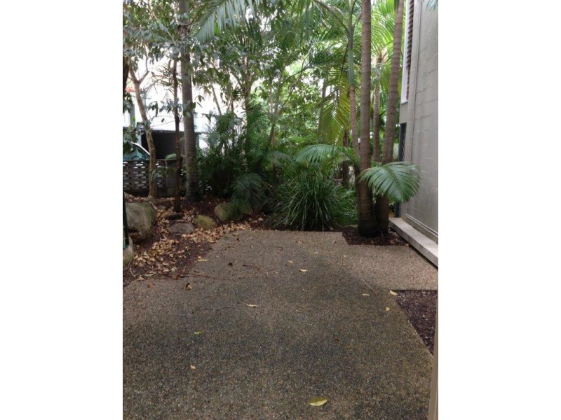 2/38 Collingwood Street, Paddington QLD 4064