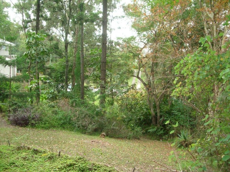 19 Kate Street, Indooroopilly QLD 4068