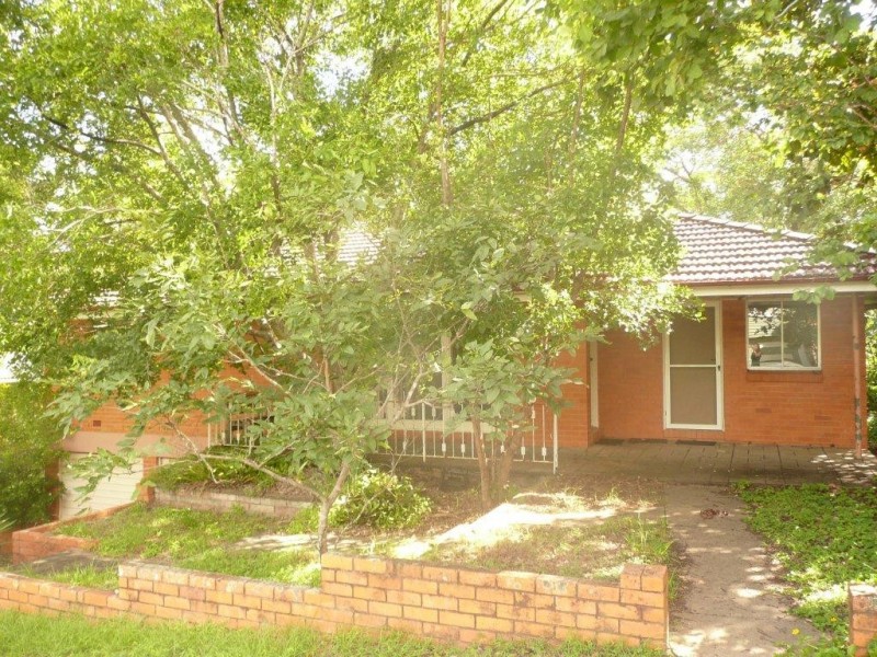 19 Napier Street, St Lucia QLD 4067