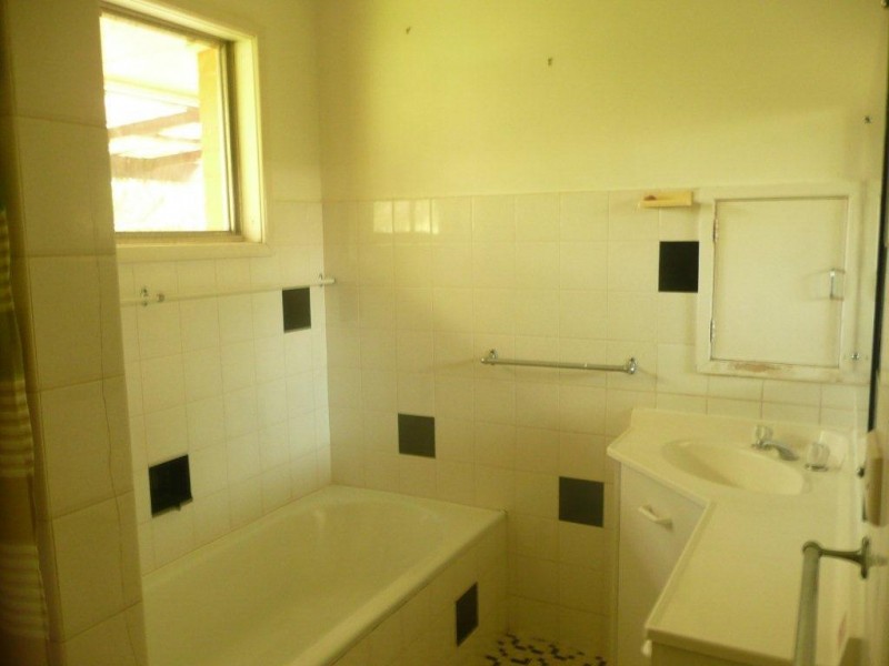 19 Napier Street, St Lucia QLD 4067